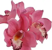 4pcs Moisturizing Cymbidium Orchid Bouquet Simulation Flower Home Decoration Table Decoration Bridal Bouquet Photography Props(Dark pink)