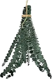 Shower Eucalyptus Hanging, Eucalyptus for Shower, 10 PCS Natural Dried Eucalyptus Bundle, Hanging Natural Live and Aromatic Self Care Eucalyptus Leaves Bundle