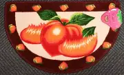 PRINTED RUG (nonskid Polyester Pile back)(17" x 29") PEACHES ,slice, Daniel
