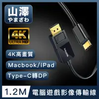 在飛比找PChome24h購物優惠-山澤 MacBook/iPad/Type-C轉DP高畫質4K