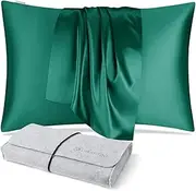 DISANGNI 100% Natural Mulberry Silk Pillow case for Hair and Skin with Hidden Zipper 22 Momme Both Sides Real Silk Pillow Case (1pc Standard Size 20" x26", Dark Green)