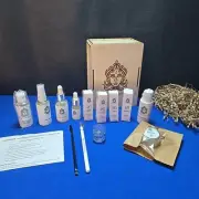Beauty INKstitute 13 Piece Professional Premium Henna Eyebrow Kit New