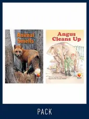 Flying Start Guided Reading Level 15, Pack 3