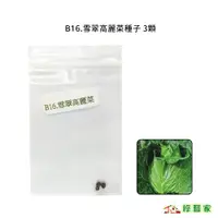 在飛比找蝦皮購物優惠-B16.雪翠高麗菜種子3顆(頂級生食品種.脆.嫩.甜.耐黑腐