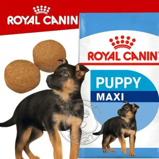 【ROYAL 法國皇家】大型幼犬專用飼料MXP 4KG 10KG 15KG(狗乾糧 狗飼料)【培菓寵物】