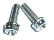 GSX-R 1000 2001-2006 Titanium Rear Brake Caliper Mount Bolts Ti race spec