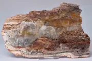 MICROBIAL MAT, Dresser Fmt, Stromatolite, North Pole Dome 295g, S732