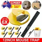 Mouse Trap N Flip Slide Bucket Lid Mice Rat Trap With Ladder Mousetrap Catcher