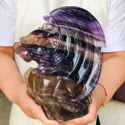 3298g Natural Fluorite Quartz Crystal Skull Flying Dragon Handcarved Healing 377