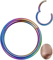 [Vegolita] 14G 16G 18G 20G 316L Stainless Steel Hinged Nose Rings Hoop for Women Men Septum Clicker Hinged Segment Ring Cartilage Helix Tragus Earring Lip Rook Conch Hoop 6-14MM