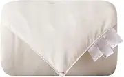 JSEIAJB Silk is Hand-Made by Home Four Seasons Quilt Quilt Quilt Core(5kg)