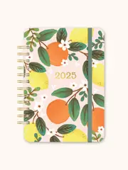 2025 17-Month Planner Do It All Fruit & Flora Weekly/Monthly Orange Circle Studio 25335
