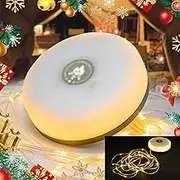 Outdoor Waterproof Portable String Light for Camping, Stowable Outdoor Lights (Warm Light-10M)