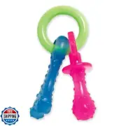 Nylabone Puppy Pacifier Chew Toy, Teething Toys for Puppies, Bacon Flavor, Sm