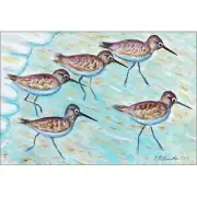 Betsy Drake Sandpipers 18 x26 Door Mat