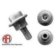 AFI Fuel Injection Pressure Damper - FPD8011