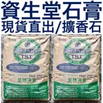 資生堂 TST 石膏粉 擴香石 GYPSUM 模型 灌模 翻模 陶瓷  燭台 擴香石 模貝 香薰