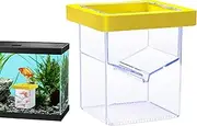 Fish Breeder Box - ABS Fish Tank Incubator | Fish Isolation Box | Breeder Isolation Divider | Aquarium Accessories, Suction Cup Hatching Container for Isolating, Acclimating Or Raising