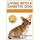 Living with a Diabetic Dog: How to Keep Your Dog Healthy, Prevent Common Problems and Avoid Complications