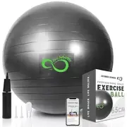Exercise Ball 55cm-95cm Extra Thick Professional Grade Balance & Stability Ba...