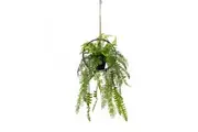 Faux Mixed Fern in Circle Frame Hanger (with Rope) Artificial Plant Flower Decor