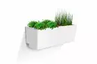 Glowpear Mini Urban Wall Planter Box Self Watering Vertical Plastic Garden Pot