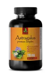 brain age - ASTRAGALUS COMPLEX 770MG - ashwagandha powder 1 Bottle