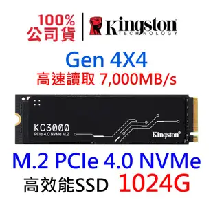 金士頓 NVMe M.2 1TB 4.0 Gen4 SSD固態硬碟 SKC3000S/1024G KC3000