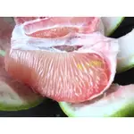 菊子的柚-嚴選麻豆文旦、紅文旦、白柚！全完售勿下標