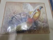 Autumn Pheasant Embroidery Kit #05003 (Simplicity Stitchery) FREE SHIPPING