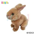 100+1 SM163荷蘭侏儒兔造型填充玩偶 ESLITE誠品