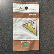 Girl Scouts Brownie - Eco Friends - Badge Earned Award