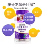 台灣發貨 DNA接骨木梅軟糖 維他命C+鋅軟糖30粒 兒童成人學生軟糖 保護 補充維生素HH