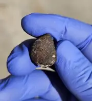 Meteorite**Holbrook, AZ. L/LL6**7.540 gram Individual, Found By Eric Fisler!!!