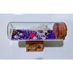 墾丁紀念品 玻璃瓶小維納斯骨螺