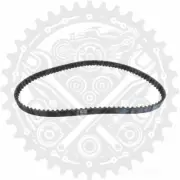 New Dayco Toothed Cam Belt 95X17 For Ducati 888 888 SP5 Sport Production