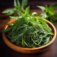 在飛比找蝦皮購物優惠-💯正品【艾草種子】藥用植物種子 養生驅蚊艾葉種子四季好種植野