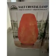 Himalayan Glow Salt Crystal Lamp Natural Air Purifier Mood Lighting