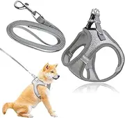 No Pull Vest,Cat Harness and Leash Set,Lead Set Escape Free,Soft Dog Harness Small Dog with,Breathable Dog Vest,with Leads,for Daily Walking,Adjustable Soft Padded