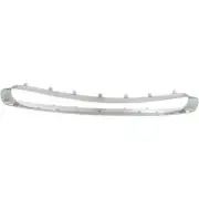 NEW LOWER FRONT BUMPER GRILLE MOLDING FITS MINI COOPER COUNTRYMAN MC1037101 (for: Mini)