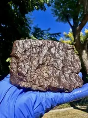 meteorite: UNC. With Fluted Regmaglyps. Weight: 1290.5 Grams.
