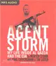 Agent Storm ─ My Life Inside Al Qaeda and the CIA