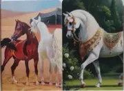 Swap cards Modern playing card back Wonderful Arabian Horses