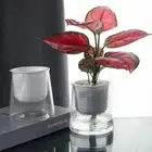 Imitation Glass Lazy Flowerpot Transparent Box Planter Creative Plants Pots