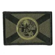 VELCRO® BRAND Fastener Morale HOOK PATCH State of Florida OD 3x2"