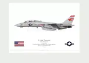 Warhead Illustrated F-14A Tomcat VF-1 Wolfpack Wichita103 Aircraft Print