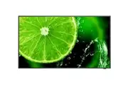 NEC 49" E498 LCD Direct-lit 4K UHD / 3840 x 2160/16:9 /ATSC/NTSC Tuner /VGA, HDMI, LAN, USB-C / Speaker/3 yr WTY