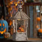 Halloween Snow Globe Lantern, Black Cat Pumpkin Skull Decor with Music & Lights