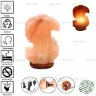 DOLLAR SIGN ELECTRIC HIMALAYAN SALT TABLE LAMP PURIFY ROCK NATURAL IONISER