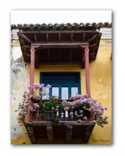 Ready2HangArt Indoor/Outdoor Wall Decor Provincial XIV in ArtPlexi
